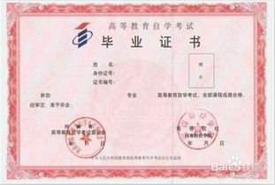 河南自考可报本科学校吗
