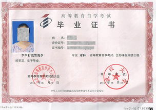 自考本科后第一学历是本科吗