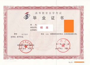 山东大学自考本科专业含金量