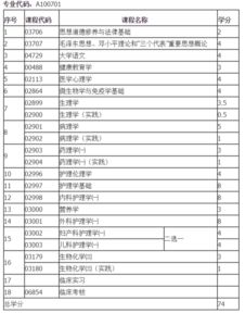 自考本科护理可以报考护士吗