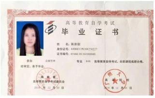 自考必须先专科再本科