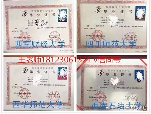 女生自考本科适合什么专业