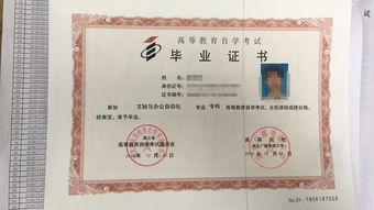 自考本科专业课程选择
