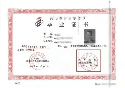 自考本科两可以报考证书吗