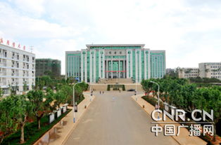 自考本科毕业证一般什么时候拿