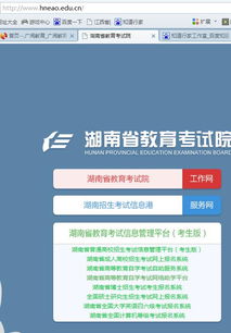跳过自考大专直接报考自考本科可以吗