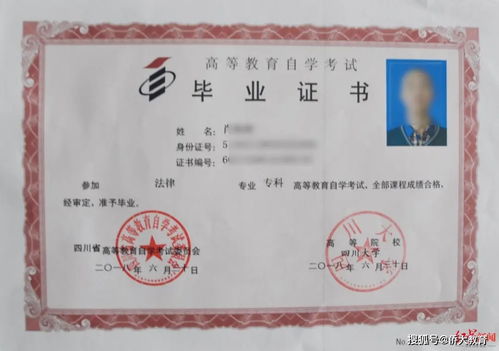 自考法律本科论文经验