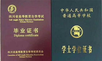 大学员工会招自考本科的吗