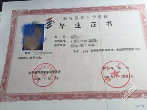 如何报考物业管理本科自考本科