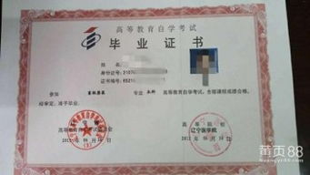 自考本科正规机构