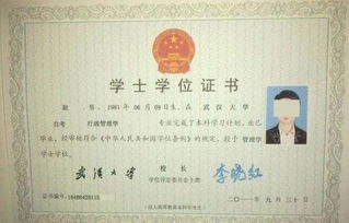 自考本科英语能做什么工作吗