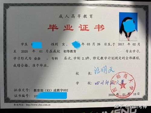 在校本科可以自考