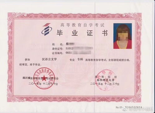 本科自考啥机构好