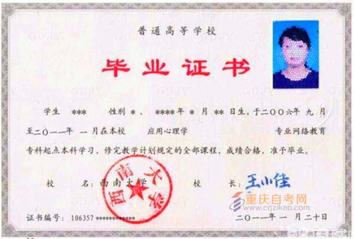 本科毕业后自考本科算