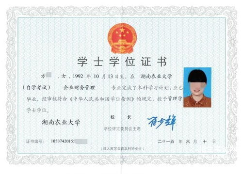 德国自考本科申请硕士