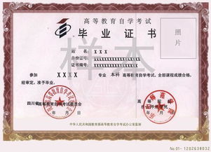 自考专科可以参加统招本科吗