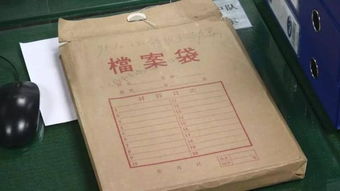 自考本科的档案内容是什么