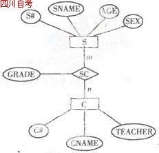 管理信息系统本科自考题