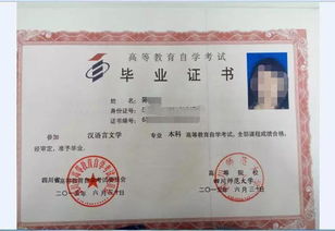 成人教育本自考本科有什么区别