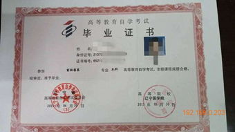 自考本科需要学什么学科