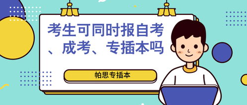 自考本科是插本
