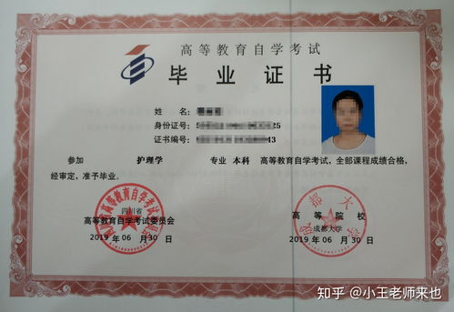 护理学本科自考专业科目