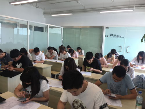 烟台有哪些自考本科机构