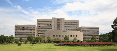 浙江师范大学自考本科有用吗