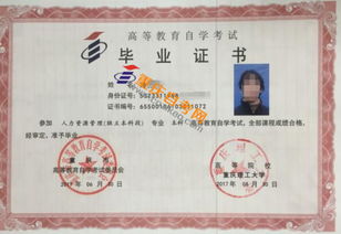 重师自考本科专业