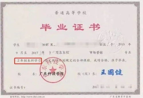 自考取得本科后能考专升本吗