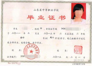 试点专业自考本科