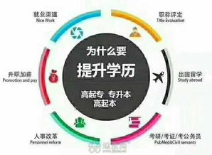 自考了本科可以不去读大学吗