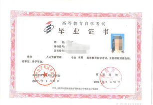 书法自考本科学校