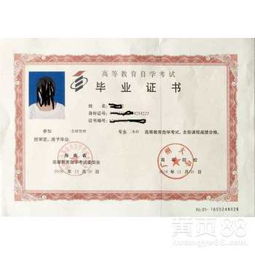 专升本简单还是自考本科简单