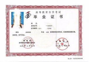 自考本科学历学信网可以查到吗