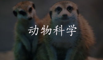 自考动物科学本科