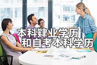 本科肄业自考本科