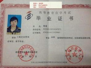 自考本科要学哪些专业好