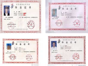 自考本科和大专升本科哪个要好点