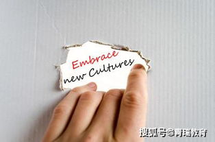 经济学自考本科难学吗