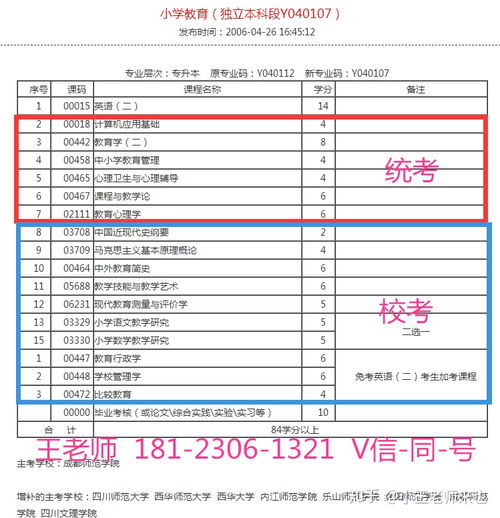 自考本科可以当老师么
