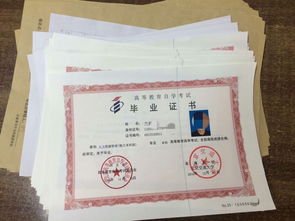 自考本科北京档案