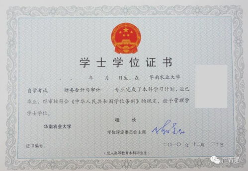 南宁自考本科辅导班