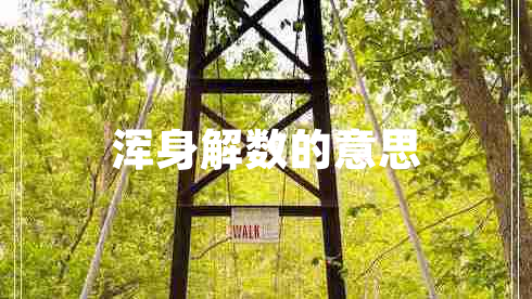 浑身解数的意思 浑身解数的意思