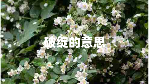 破绽的意思
