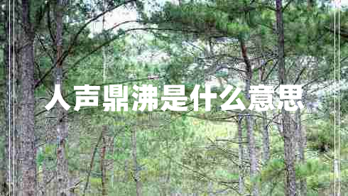 人声鼎沸是什么意思