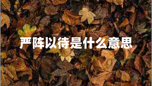 严阵以待是什么意思