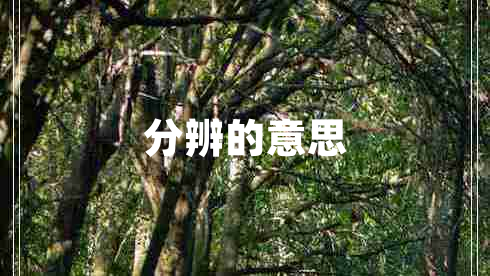 分辨的意思