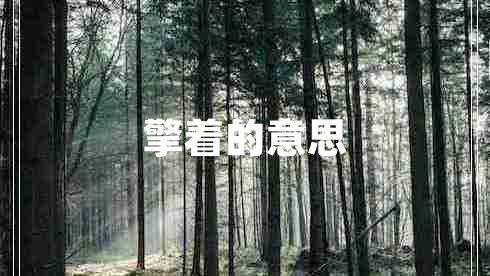 擎着的意思