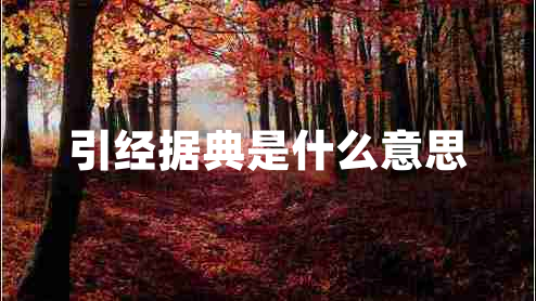 引经据典是什么意思